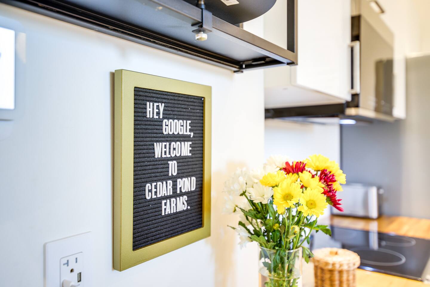 Hey Google?  The entire space is smart from the vacuum, blinds, TVs, lights and speakers.